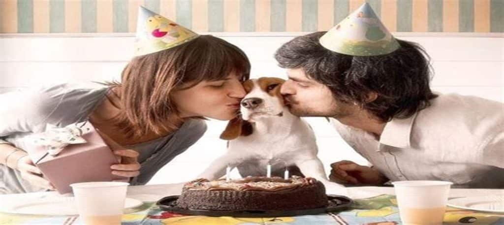 ¿Eres amante de los animales ¡No te puedes perder estas importantes redes sociales curiosas