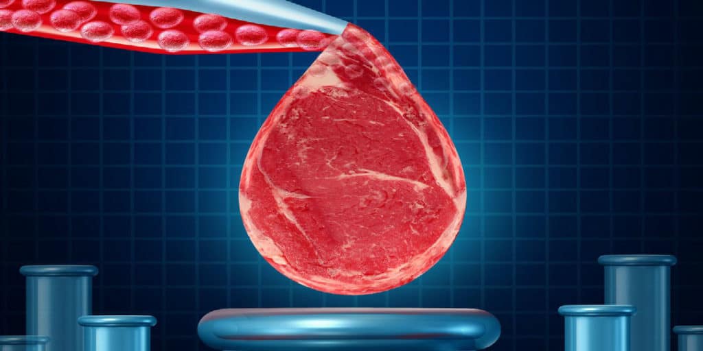 ¡Ambientalistas animalistas y todo el mundo detengan todo En unos años podremos comer carne cultivada en laboratorio