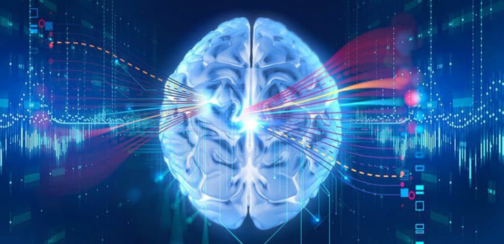 Digitalizar el cerebro finalmente así podríamos ser inmortales
