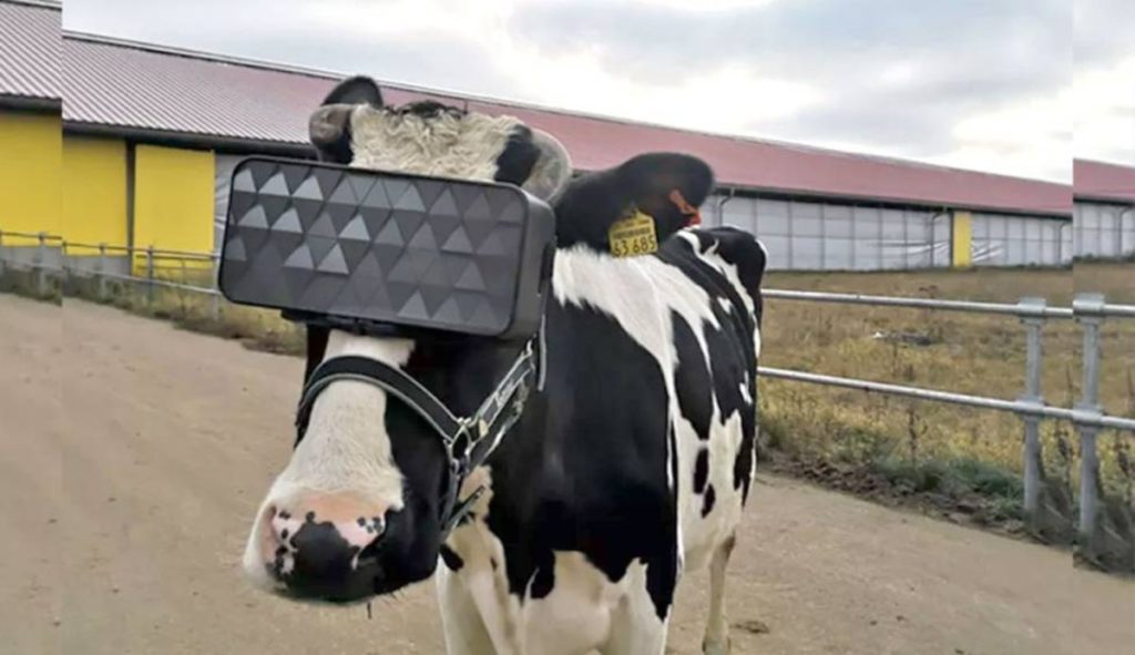 En Rusia les ponen gafas de realidad virtual