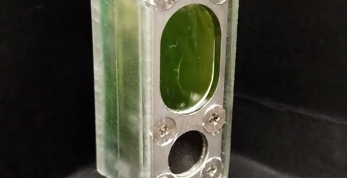 Crean batería AA que es alimentada por algas para usar en microprocesadores