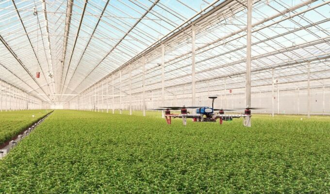 Los drones como la esperanza de los agricultores en el futuro