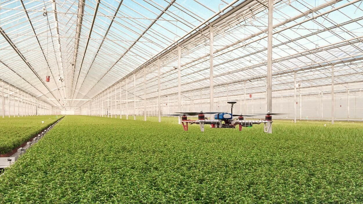 Los drones como la esperanza de los agricultores en el futuro