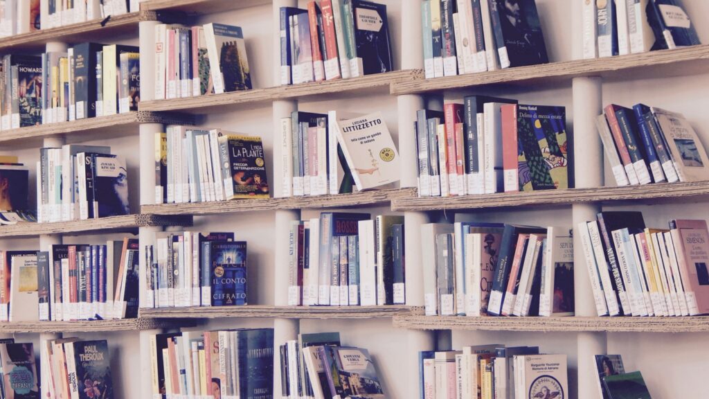 Libros pirateados forman parte de la biblioteca mas grande del mundo e1669120691496