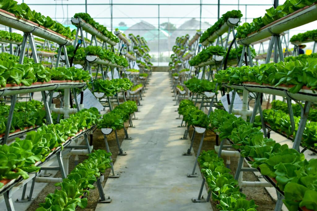 La agricultura vertical y su defecto fatal e1672140555169