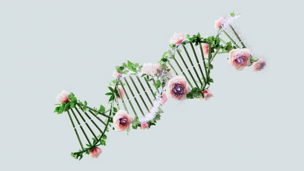 La FDA de Estados Unidos aprueba el primer tratamiento basado en la tecnología de edición genética